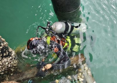 commercial diver doing wharf inspections in the Hauraki gulf