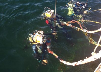 commercial divers hauraki gulf