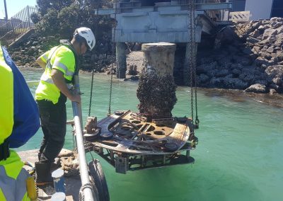 marine construction in the hauraki gulf auckland