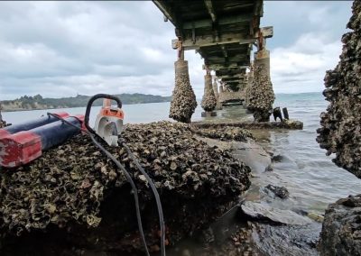 wharf maintenance