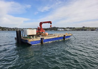 barge hire auckland
