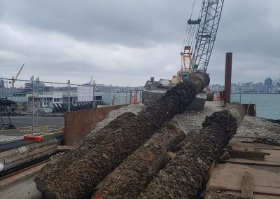 barge hire hauraki gulf